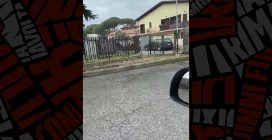 Neve a Roma, il video dei primi timidi fiocchi anche sulla Capitale