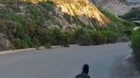 snapsave app 1582363956236327 hd