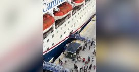 Bimba di 4 anni cade in mare, la mamma si tuffa senza esitazione: il video del salvataggio