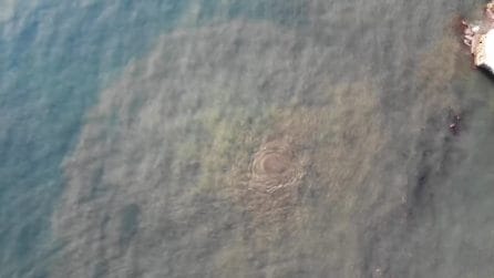 Lo strano gorgo marino al largo di Posillipo, vortice e enorme chiazza vicino alla Gaiola