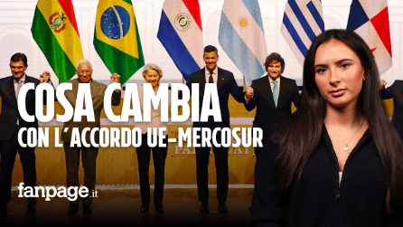 Cos'è il Mercosur, cosa cambia dopo l'accordo con l'Ue e perché gli agricoltori stanno protestando