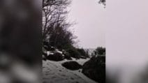 Neve e grandine a Roma, fiocchi sui Castelli Romani: imbiancate le vette intorno alla capitale