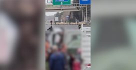 Raccordo anulare in tilt a Roma, gregge di pecore attraversa le corsie Gra