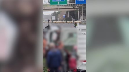 Raccordo anulare in tilt a Roma, gregge di pecore attraversa le corsie Gra