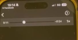 Trani, tragedia sfiorata: palma cade in strada, colpisce auto e sfiora un passante