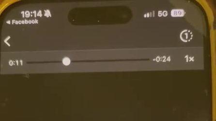 Trani, tragedia sfiorata: palma cade in strada, colpisce auto e sfiora un passante