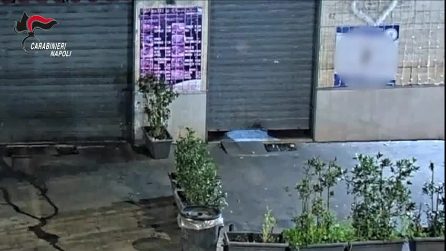 Sette bande si erano messe insieme per svaligiare case in tutta la Campania: 38 arresti