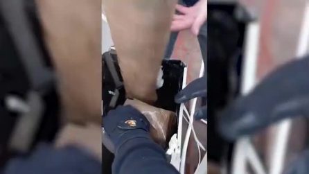 Blitz tra Melito e Napoli centro: trovati fucili, pistole, kalashnikov e sette chili di droga