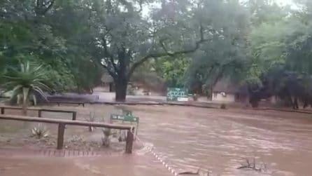 Esondazioni in Sudafrica causano decine di morti