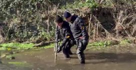 Feminicidio Federica Torzullo, sommozzatori cercano il coltello nel ruscello con il metal detector
