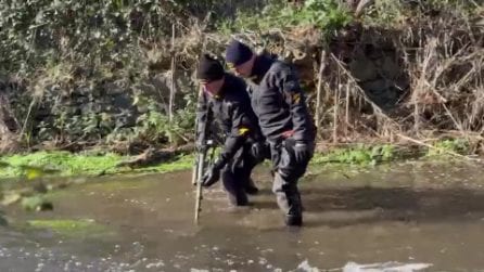 Feminicidio Federica Torzullo, sommozzatori cercano il coltello nel ruscello con il metal detector