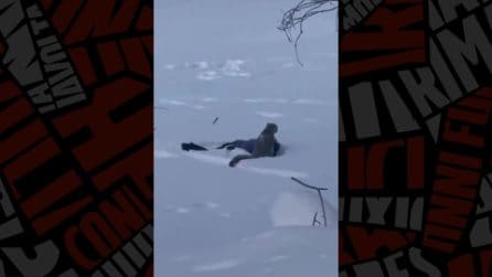 Cina, turista attaccata da un leopardo delle nevi: il video dell’aggressione