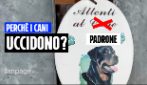 Attenti al padrone, perché sempre più cani in Italia uccidono e cosa non sta funzionando