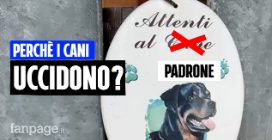 Attenti al padrone: storie di aggressioni dei cani in Italia e delll'inconsapevolezza dell'uomo