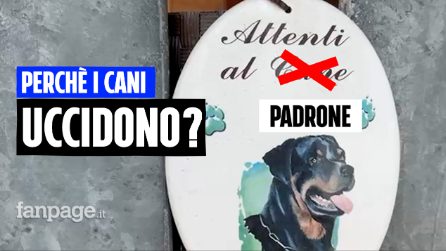 Attenti al padrone: storie di aggressioni dei cani in Italia e delll'inconsapevolezza dell'uomo