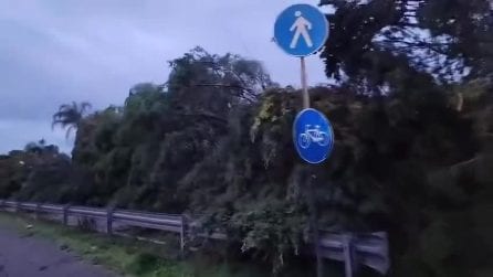 Tromba d'aria nel Brindisino: ingenti danni per alberi e muri abbattuti