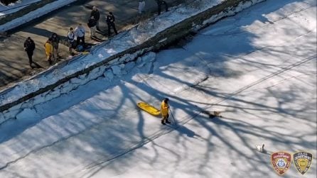 Cigno intrappolato in lago ghiacciato: salvato