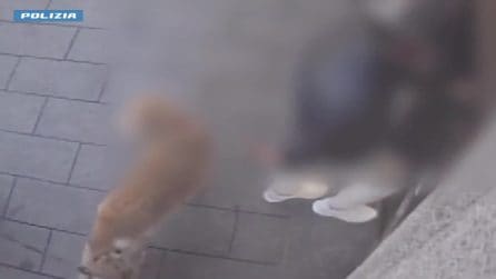 Seguono un uomo nel cortile di casa a Milano e gli rubano l'orologio da 25mila euro: fermati