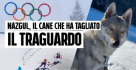 Nazgul, il cane simbolo delle Olimpiadi. I proprietari: "Quando lo abbiamo visto è salito il panico"