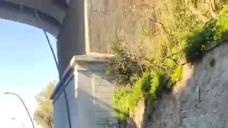 Riapre a doppio senso Discesa Coroglio, era chiusa da due giorni per un crollo