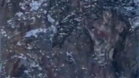 Minibus turistico affonda nel lago ghiacciato più profondo del mondo: 8 morti, il video