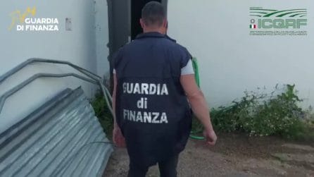 Sequestrati 2,5 milioni di litri di vino falso: l'operazione della GDF Vinum Mentitum