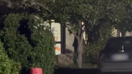 Catherine Birmingham lascia la casa famiglia di Vasto dopo l'ordinanza