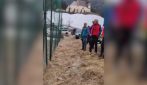 Valanga in Alto Adige, due scialpinisti morti e 3 feriti gravi: il video dei soccorritori in azione