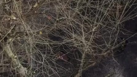 "Sono sprofondato in una voragine a Napoli, dopo due anni non è ancora finita la riparazione"