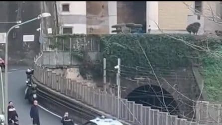 Uomo tenta di aggredire una ragazzina al Parco Comola Ricci: bloccato dalla Polizia Municipale