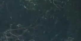 Scoppia incendio nel reparto di terapia intensiva: almeno 11 morti in un ospedale in India