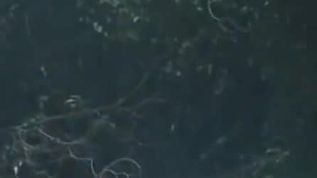 Scoppia incendio nel reparto di terapia intensiva: almeno 11 morti in un ospedale in India