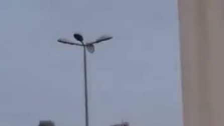 Virale il video dell'attacco Idf a Beirut: enorme nuvola di fumo e detriti