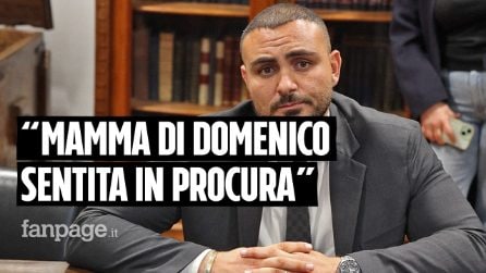 Il piccolo Domenico morto dopo il trapianto, l'avvocato: "La mamma sentita in Procura"