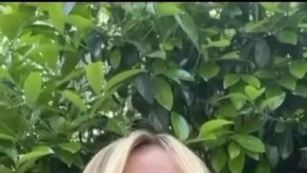 Meloni ammette la sconfitta: "Italiani si sono espresso, ma il governo va avanti come sempre"