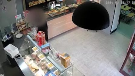Furto in un panificio di Santa Maria Capua Vetere, il titolare diffonde le immagini: "Vergognati"