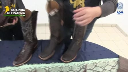 Roma, traffico di stivali con pelle di coccodrillo e pitone: erano per il mercato dell'alta moda