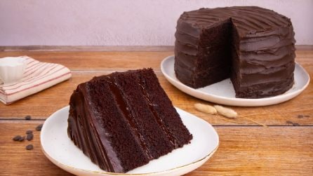 FUDGE CAKE: the recipe for the delicious chocolate cake!