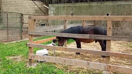 WhatsApp Video 2026 04 14 at 18 51 47