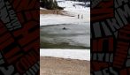 Il video dei turisti finiti nell'acqua ghiacciata del Lago di Braies a Pasquetta