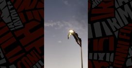 Ragazzo si arrampica sul lampione e salva un gabbiano