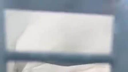 Il video di Berardi strattonato e poi fermato dai compagni del Sassuolo: rissa nel tunnel del Ferraris