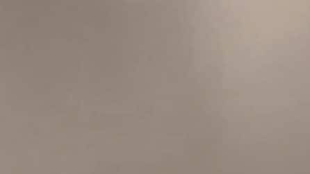 Il video dell'arresto di Cole Tomas Allen dopo la sparatoria