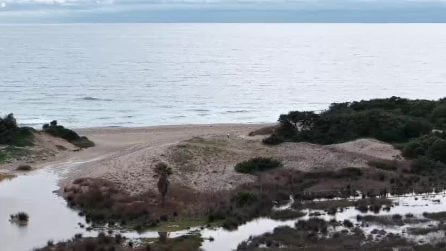 Gare di moto e auto parcheggiate nella riserva naturale a Porto Cesareo: il video di Legambiente