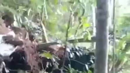 Elicottero precipita in Indonesia, 8 morti: il video dei rottami dopo lo schianto