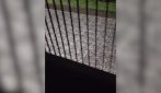 Temporale e grandine su Milano, chicchi fino 4 centimetri: "Mai vista così grande ad Aprile"