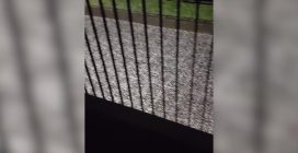 Temporale e grandine su Milano, chicchi fino 4 centimetri: "Mai vista così grande ad Aprile"