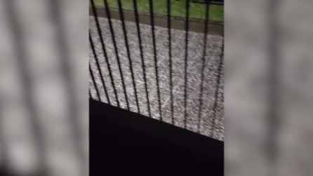 Temporale e grandine su Milano, chicchi fino 4 centimetri: "Mai vista così grande ad Aprile"