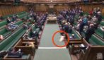 Un cane dorme nel Parlamento britannico durante i lavori in aula