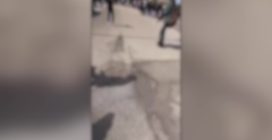 Legnago, maranza sparano alla fermata del bus e fanno video: fuggi fuggi generale in strada